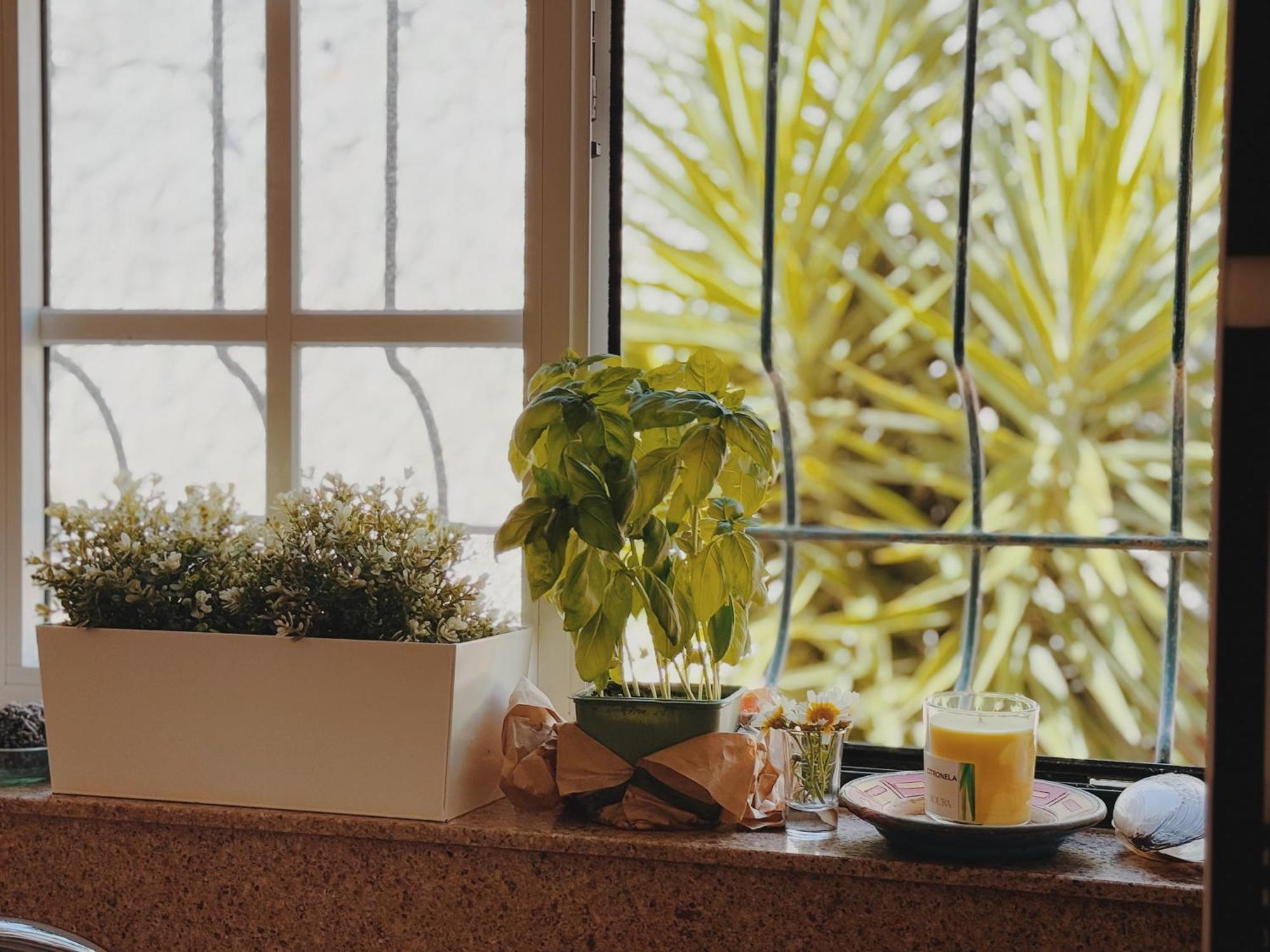 Coastal Garden Paradise Retreat- 6 Min From The Beach تشارنكه المظهر الخارجي الصورة